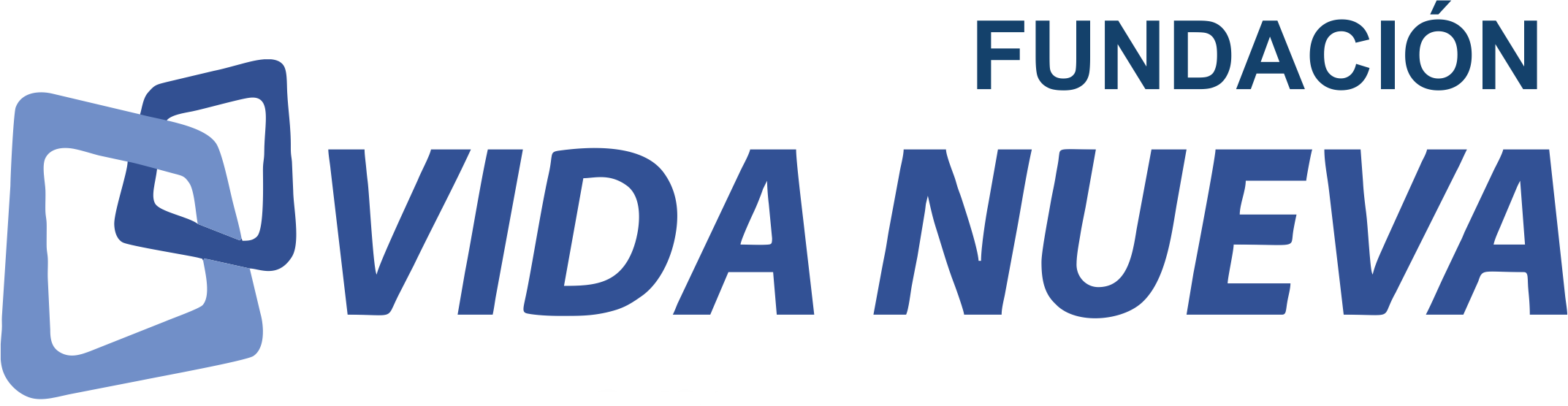 Fundación Vida Nueva